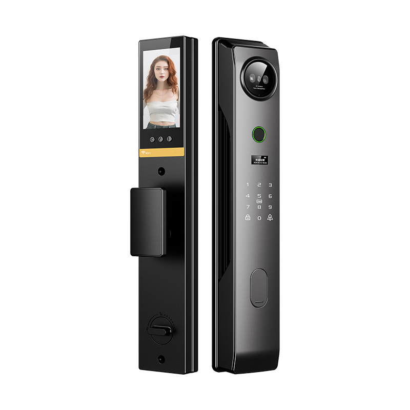 Face Recognition Smart Lock-D8