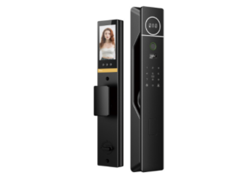 Ruixiang D9 high-end fingerprint lock officially released
